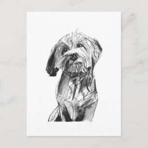 Carte postale Cavapoo – Illustration de chien au f