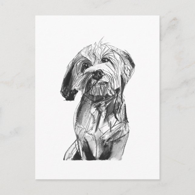 Carte postale Cavapoo – Illustration de chien au f (Devant)
