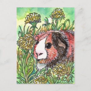 Carte Postale Cavia et Dandelion