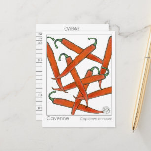 Carte Postale Cayenne Pepper Materia Medica Herbal Study Card