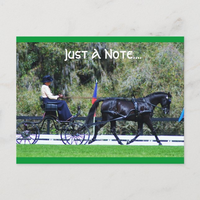 Carte Postale cde de chêne vivant (Devant)