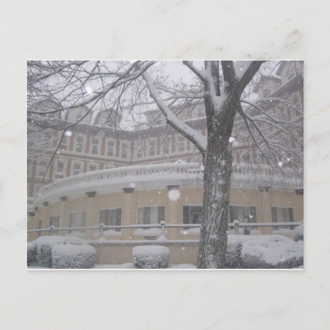 CARTE POSTALE CE N'EST PAS MA JOURNÉE POUR L'ÉQUIPAGE DE NEIGE N (Devant)