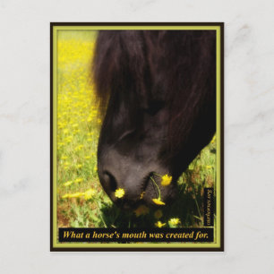 Carte Postale Ce pour quoi la bouche d'un cheval a été créée