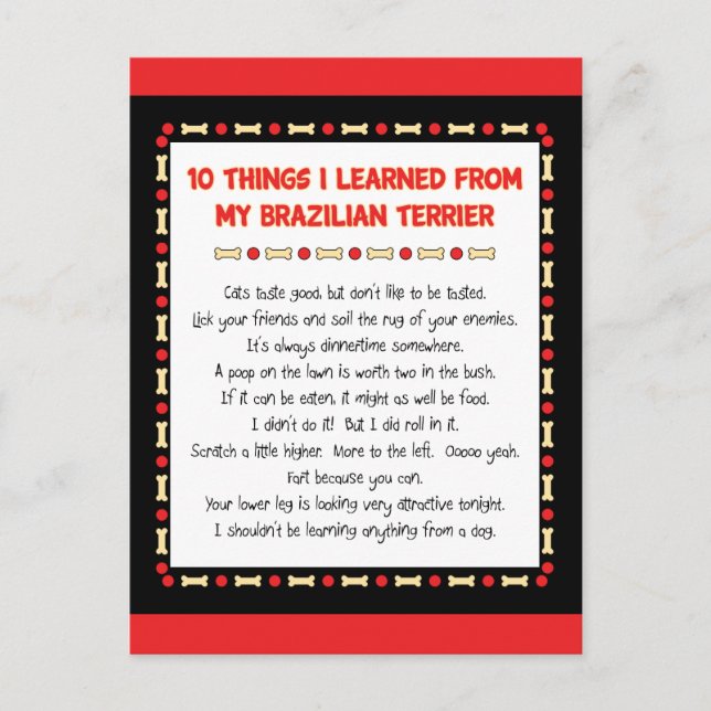 Carte Postale Ce Que J'Ai Appris De Mon Terrier Brésilien (Devant)