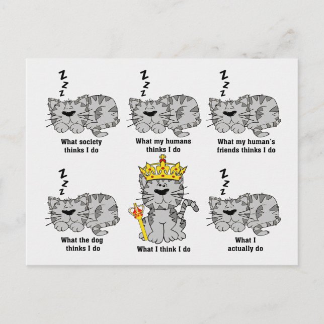 Carte Postale Ce que le chat pense drôle (Devant)