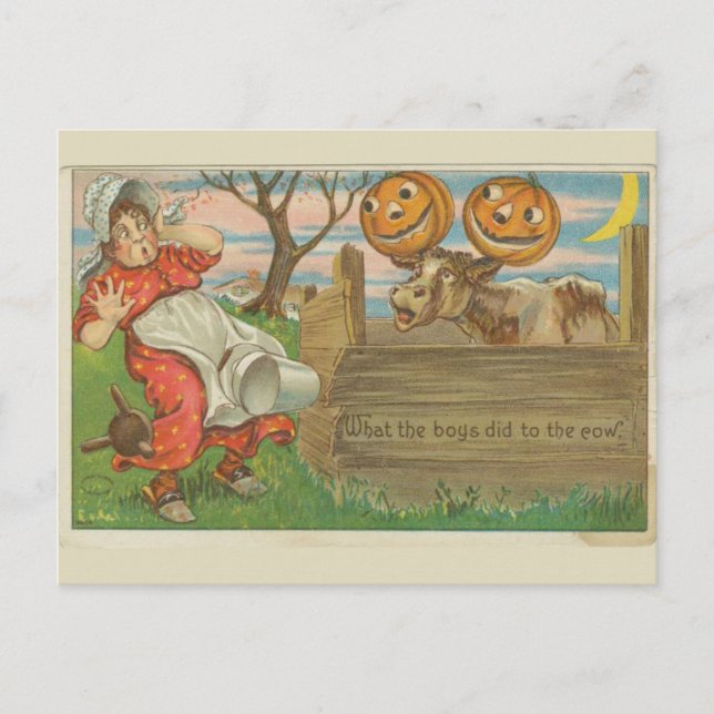 Carte Postale Ce que les garçons ont fait à la Vache Halloween V (Devant)
