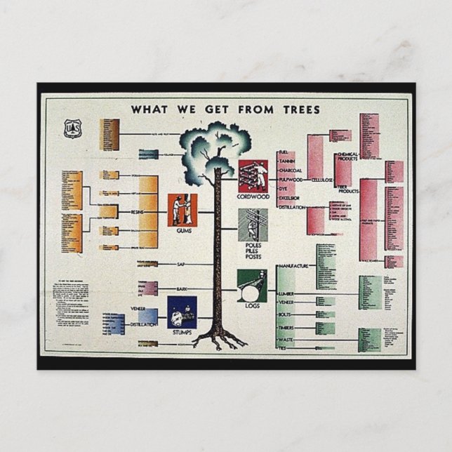 Carte Postale Ce que nous obtenons des arbres (Devant)