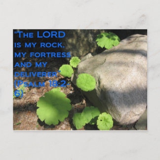 Carte Postale Ce qui se trouve sous les roches