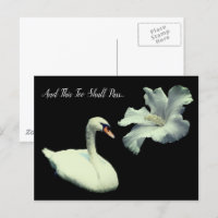 Ce trop passera Cygne Inspirant
