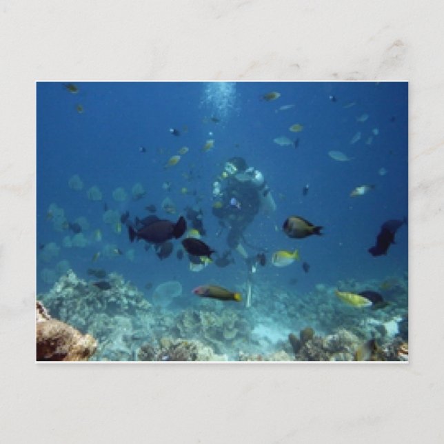 Carte Postale Cebu Diving.jpg (Devant)