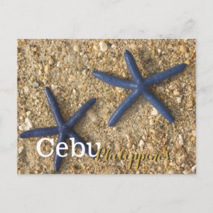 Carte Postale Cebu Philippines Blue Starfish