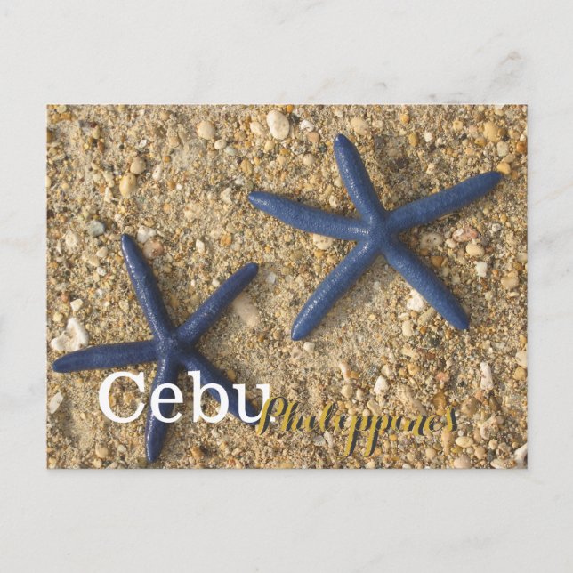 Carte Postale Cebu Philippines Blue Starfish (Devant)