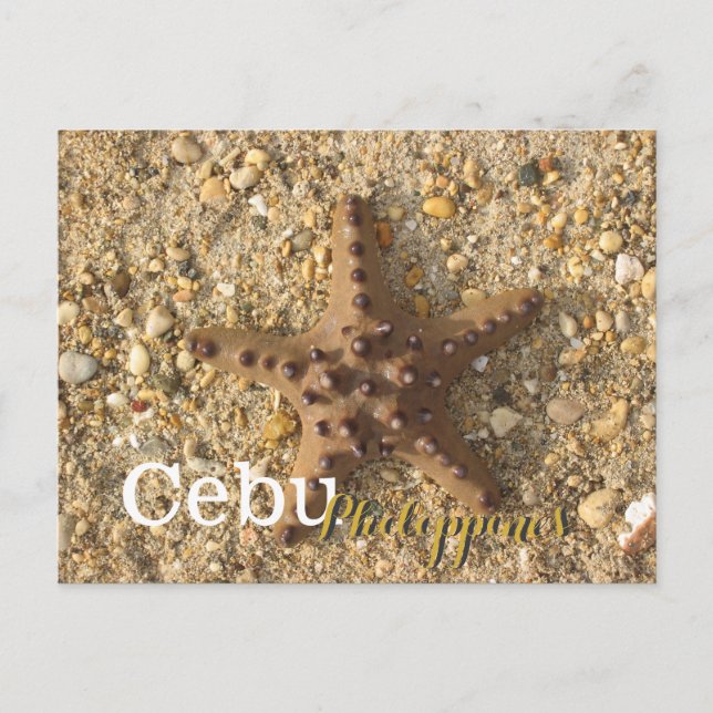 Carte Postale Cebu Philippines Starfish Brown (Devant)