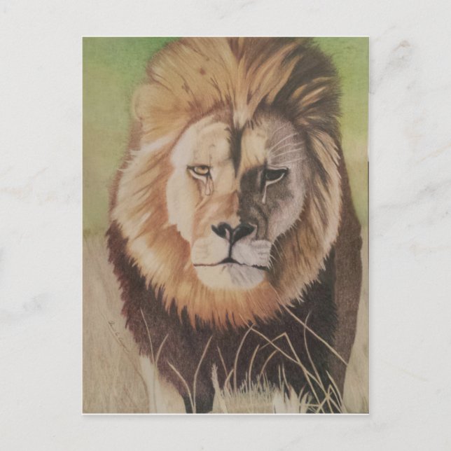 Carte Postale Cecil le lion (Devant)