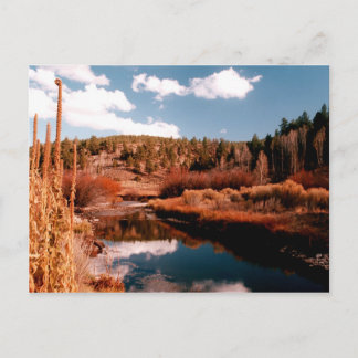 Carte Postale Cedar Breaks National Area, Utah