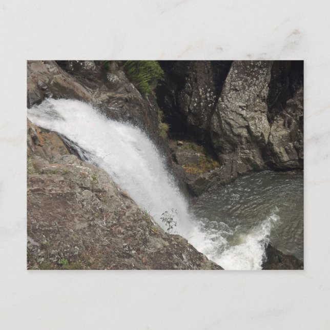 Carte Postale Cedar Creek Falls (Devant)