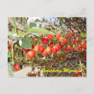 Carte Postale Cedarburg