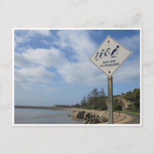 Carte Postale cède la place aux pingouins