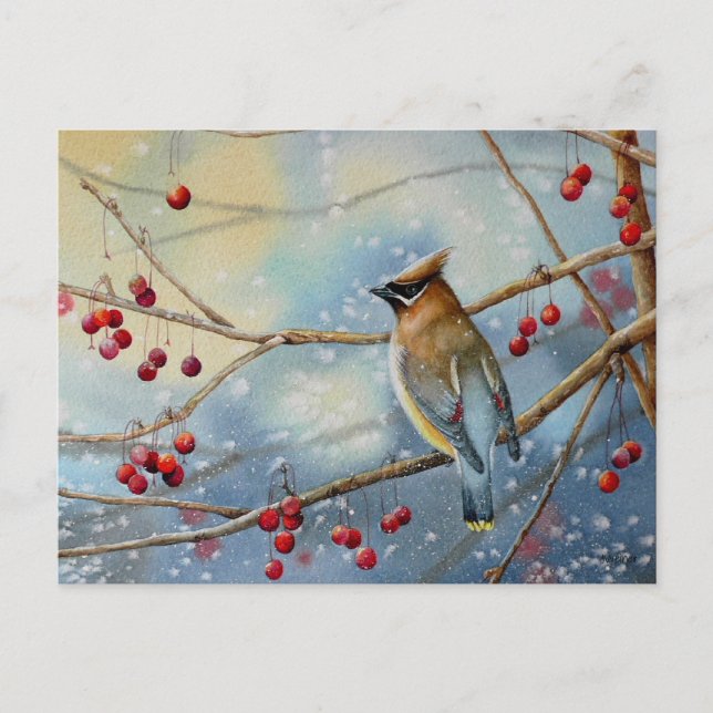 Carte Postale Cèdre d'hiver cire Oiseau et baies Aquarelle Art (Devant)