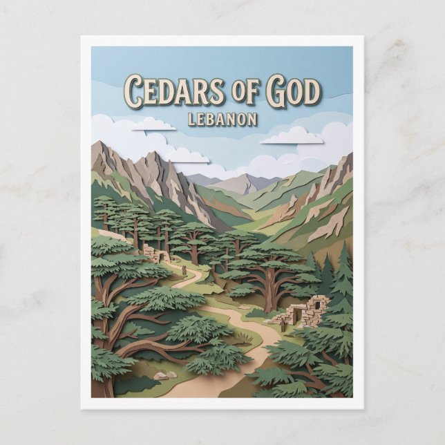 Carte Postale Cèdres de Dieu Bsharri Liban (Devant)