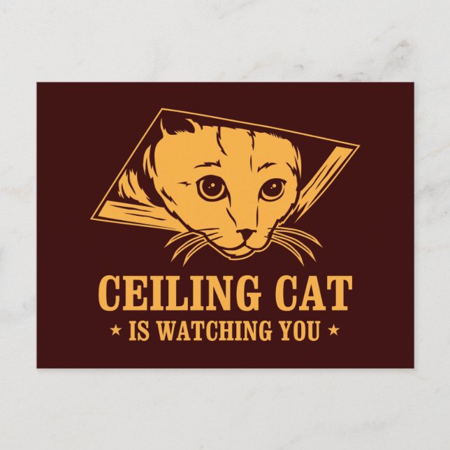 Carte Postale Ceiling Cat vous regarde (Devant)