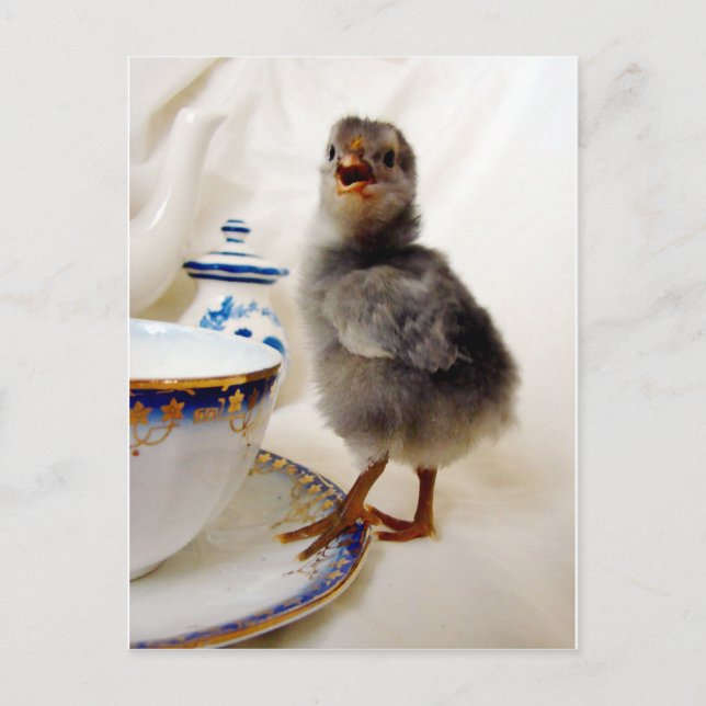 Carte Postale "Cela ne fait pas partie de mon contrat" dit le po (Devant)