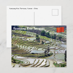 Carte Postale Célèbres rizières en terrasses de Yuanyang - Yunna