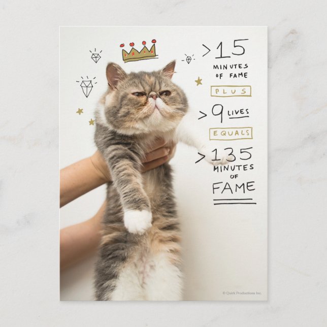 Carte Postale Célébrité de chat Internet (Devant)