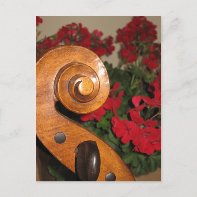 Carte postale Cello Scroll Flowers (Devant)