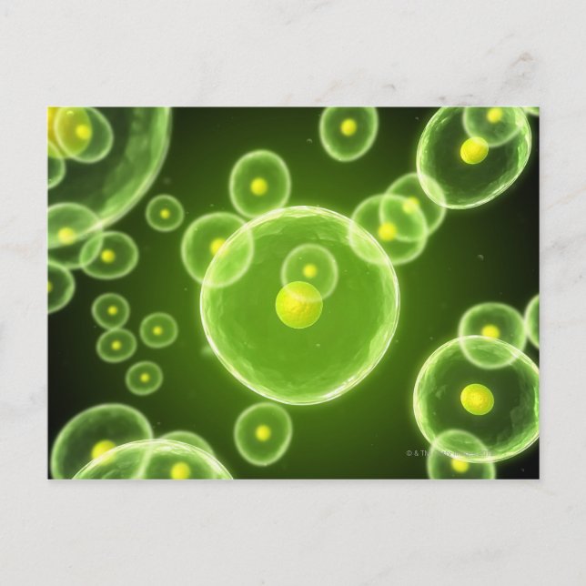 Carte Postale Cells 2 (Devant)