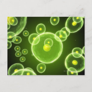 Carte Postale Cells 2