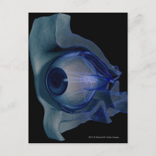 Carte Postale Cellule filaire 3d des muscles oculaires dans une