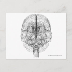 Carte Postale Cellule filaire du cerveau