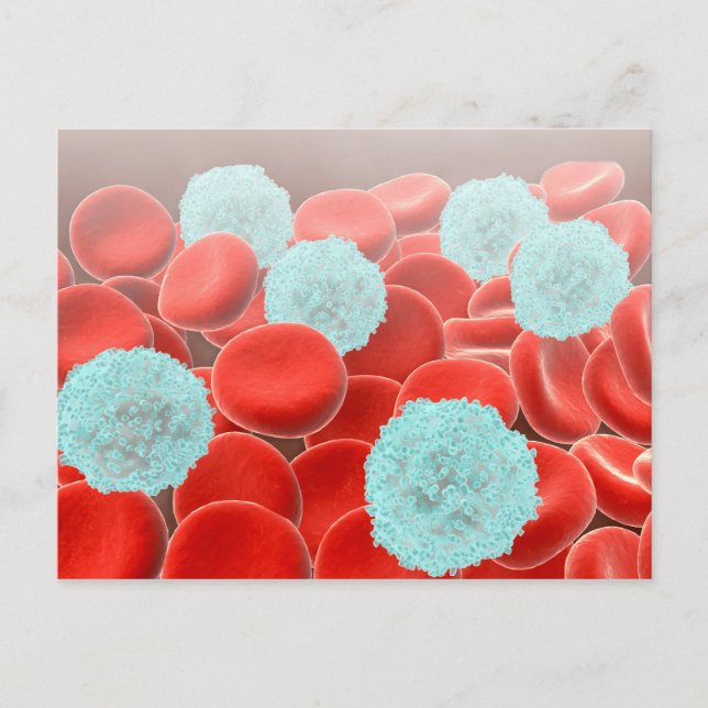 Carte Postale Cellules de sang rouge avec cellules de sang blanc (Devant)