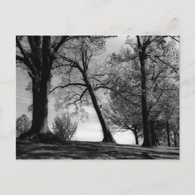 Carte Postale Cemscape (Devant)