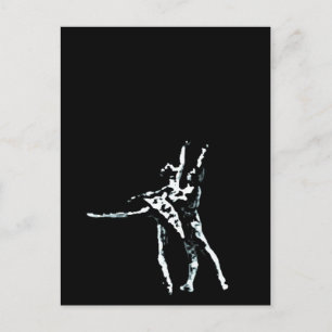 Carte Postale Cendrillon