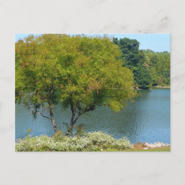 Carte Postale Centennial Lake in Ellicott City Maryland (Devant)
