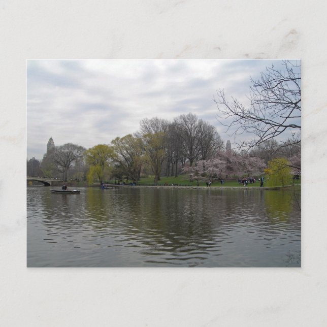 Carte Postale Central Park 001 (Devant)
