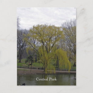 Carte Postale Central Park 003