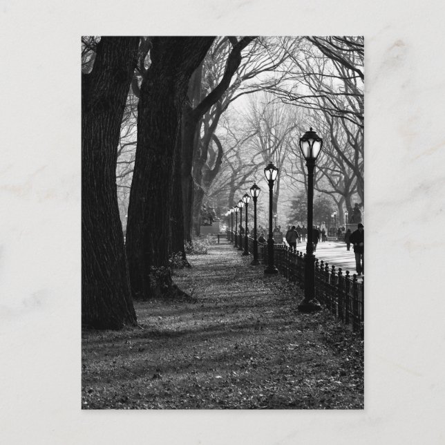 Carte Postale Central Park à New York (Devant)