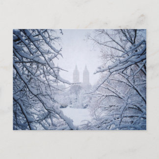 Carte Postale Central Park encadré dans la neige et la glace