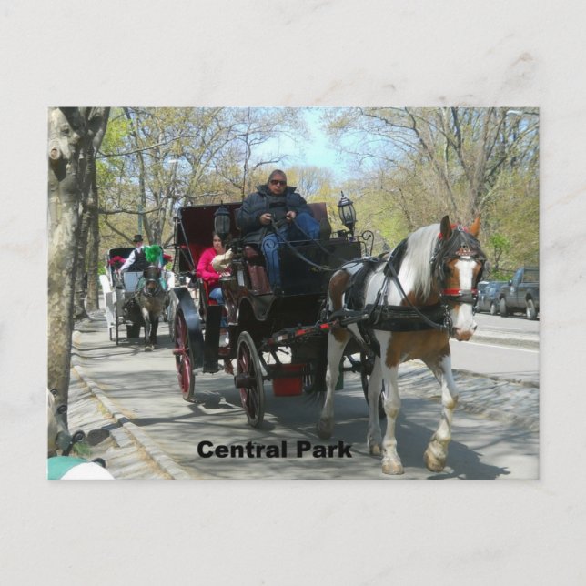 Carte Postale Central Park, Horse et Carriage (Devant)