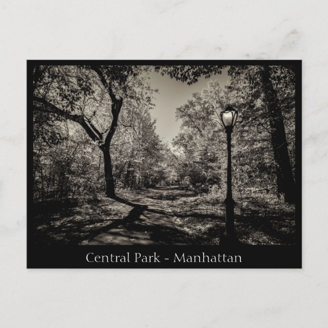 Carte Postale Central Park Manhattan en noir et blanc (Devant)