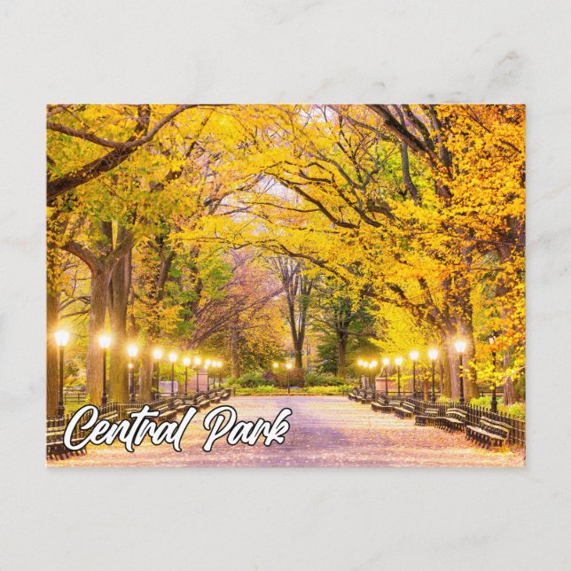 Carte Postale Central Park, Manhattan, New York, USA (Devant)