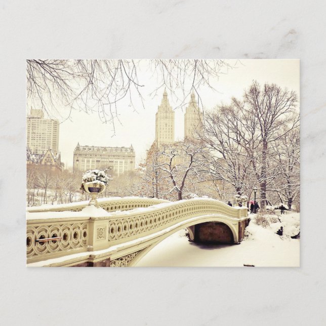 Carte Postale Central Park Neige - Hiver New York (Devant)