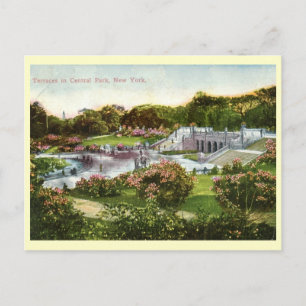 Carte Postale Central Park, New York City 1916 Vintage