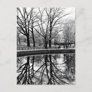 Carte Postale Central Park Photo Paysage noir et blanc