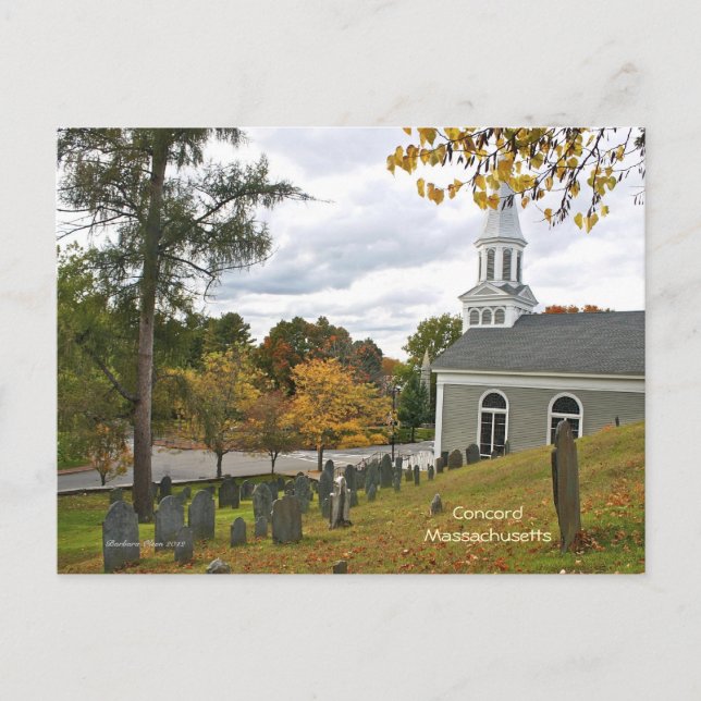 Carte Postale Centre Concord (Devant)