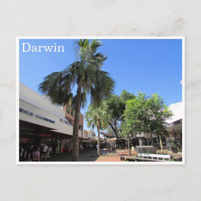 Carte Postale centre darwin (Devant)