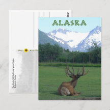 Centre de conservation de la faune d'Alaska - 